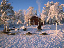 Nordeuropa, Finnland, Schweden, Lappland-Expeditionen - Verschneite Htte